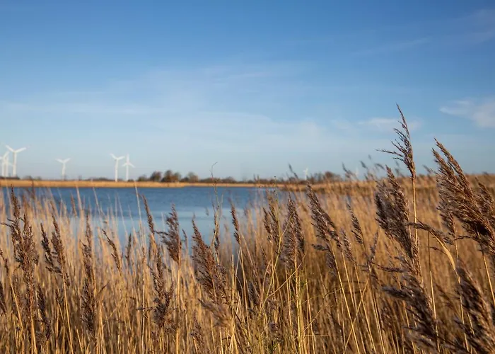 Daenisches Blockhaus Direkt Am Wangermeer Prázdninový dům